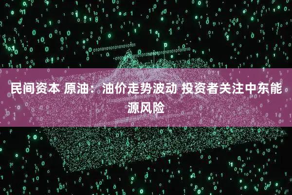 民间资本 原油：油价走势波动 投资者关注中东能源风险