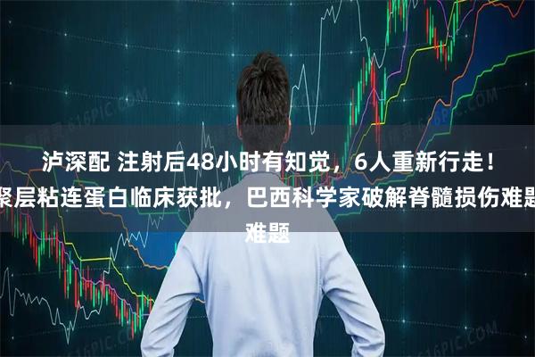 泸深配 注射后48小时有知觉，6人重新行走！聚层粘连蛋白临床获批，巴西科学家破解脊髓损伤难题